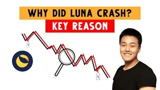 Why did Luna crash? | Key Reason | Will LUNA Recover?? | (Explained with Animations)