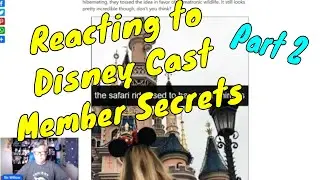 Sir Willow Reacts to Disney Cast member Secrets Part 2 - Confessions of a Theme Park Worker
