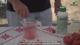 Varianta cea mai simplă pentru determinarea pH-ului apei