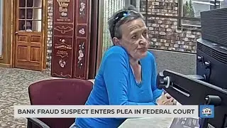 Bank fraud suspect enters plea in federal court
