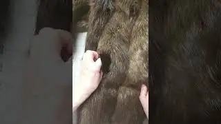 Beaver fur coat redesign - stage one