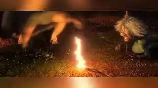 Shain engish video song