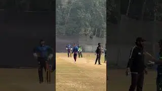 Best Cricket Shot #cricket #highlights #live #trending #cricketmatch #shorts #reels #ipl #bpl #viral