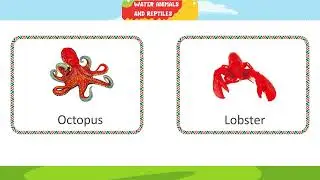 Ch 8 | Ace Publishing House | Picture Book | Water Animals  And Reptiles |  For children