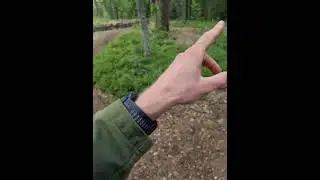 Trailforks Test!