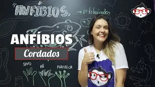 Cordados | Anfíbios 🐵📚