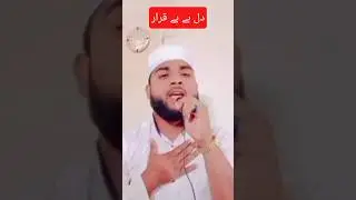 Dil Hai Be karar #shorts #ytshorts #trending #manzar