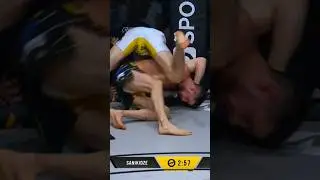 High Level MMA Grappling #mma #ufc #highlight #highlights #win #grappig #winner #fighting #fighter