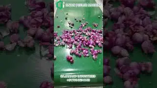Onion peeler machine | onion garlic peeling machine | gajanand industries #onion