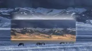 Kitaro - The Silk Road