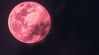 Full Moon Practice: Pink Moon 4.5.23