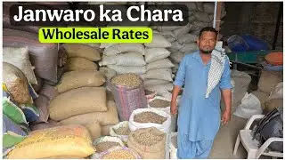 Janwaro ka Chara Wholesale Rates at MD Feed Shop Aurangabad 