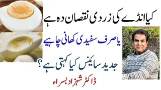 انڈا صرف سفیدی یا زردی سمیت کھانا بہتر