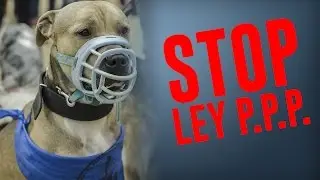 Caminata STOP LEY PPP 2015 (Santa Coloma de Gramanet)