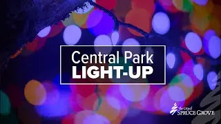 Central Park light up 2020