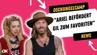 Dschungelcamp: 