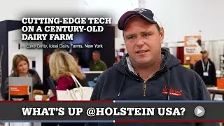 Что нового в Holstein USA: технологии и прогресс.