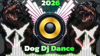 Dog Dj Song 😺 Dj Remix Song | 2026 New Song DjMix | Dog Wala Gana | Dog Siren 🐶 Dog Sound 