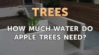 How Much Water Do Apple Trees Need?