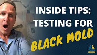 Renters & Black Mold Testing (Inside Secrets) | Twin Home Experts