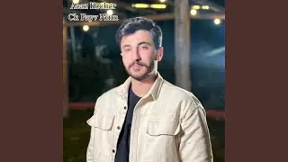 Ch Payv Ninn