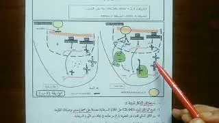 تمرين رائع مسعى علمي وحدة تركيب البروتين (الجزء 2) _ اختبار الفصل الاول علوم ثالثة ثانوي