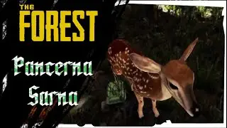 TO M&Oacute;J PIERWSZY RAZ W THE FOREST