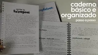 COMO TER UM CADERNO BÁSICO E ORGANIZADO