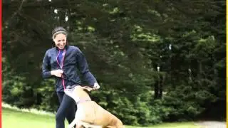 Dog Walking Las Vegas| 702-527-8070| 89178 Dog Walking| Daily Dog Walking| 89178| Clark County NV