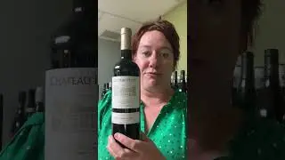 Chateau Hyot Castillon Cotes de Bordeaux