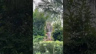 #Moana #Epcot #JourneyOfWater #DisneyWorld #DisneyShort #WDW #NewEpcot #Nature #Water #Hawaii #Short