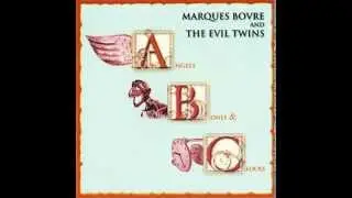 Super Genius by Marques Bovre and the evil twins