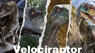 Velociraptor Evolution in the Jurassic Park/World Franchise (1993-2025)