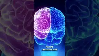 Heal Emotional Trauma Faster with BodyTalk