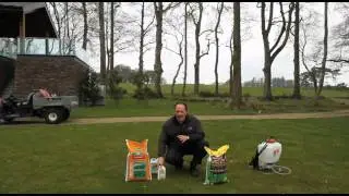 Garden Moss Control Tips