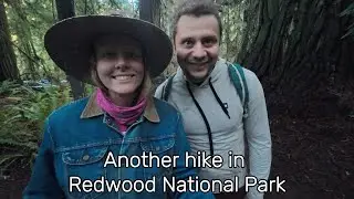 Redwoods Hike #2