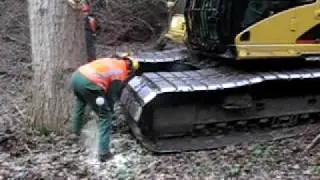 De Bomenridders verhinderen illegale bomenkap langs de A16 in Rotterdam