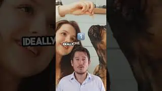 Top Socialization Tips for French Bulldogs - Frenchie Pack App