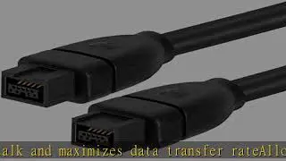 BIZLANDER Firewire 1394b 800 IEEE 9 Pin to 9 Pin Male to Male Cable for PC, Digital Cameras MacBook
