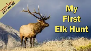 10 Lessons I Learned On My First Elk Hunt In New Mexico