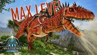 MAX LEVEL Carcharodontosaurus Taming (ARK: Valguero Ascended &bull; EP12)