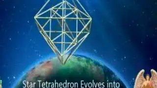 AEG Evolution video