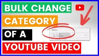 How To Bulk Change Category Of Multiple YouTube Videos? [in 2025]