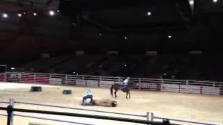 Equitana Sydney 2013