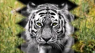 My 50 favorite photos Part 1