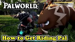 How to Get Riding Pal in Palworld (Rushoar Location)