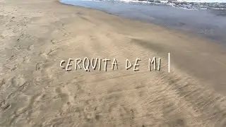 Zebx - Cerquita De Mi 🌊 (Video Concept) 