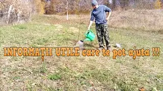 Inființare LIVADĂ de PRUNI soiurile ANNA SPATH...TULEU GRAS...STANLEY !!!