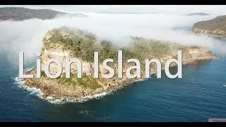 Lion Island