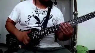 Hohner B2A (with new strings)